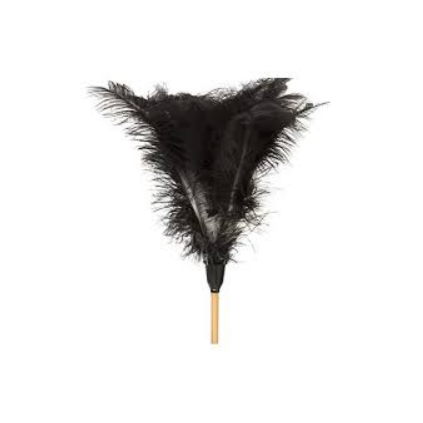 Feather Duster (Ostrich)