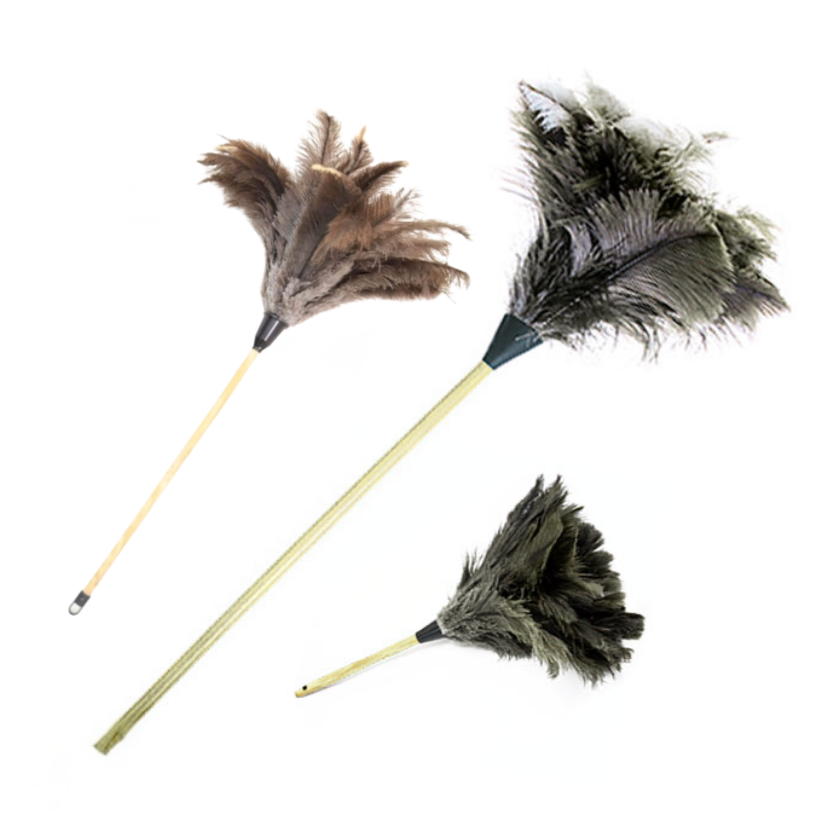 Feather Duster (Ostrich)