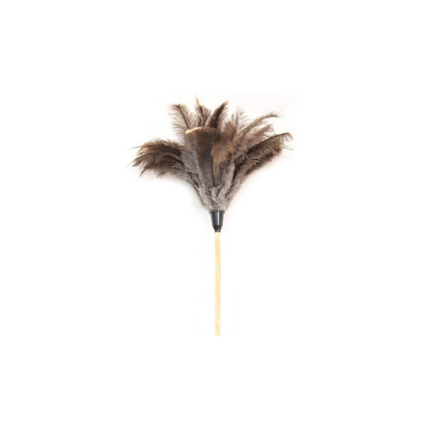 Feather Duster (Ostrich)