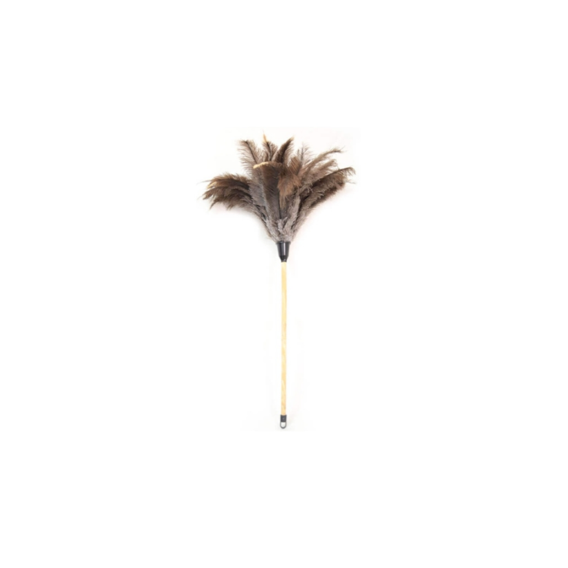 Feather Duster (Ostrich)